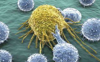 Cancer-Killing T-cells