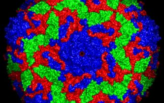 First atomic structure of an intact virus deciphered with an X-ray laser