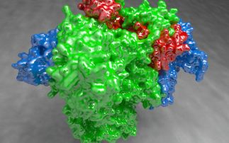 Using MX and SAXS to reveal the molecular machine that drives spread of flu virus