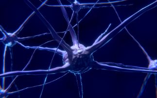 Diamond brings us a step closer to early detection of multiple sclerosis