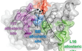 Toward remote control of an ‘undruggable’ dynamic enzyme with structurebased fragment screening