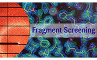 Fragment Screening (XChem) at Diamond