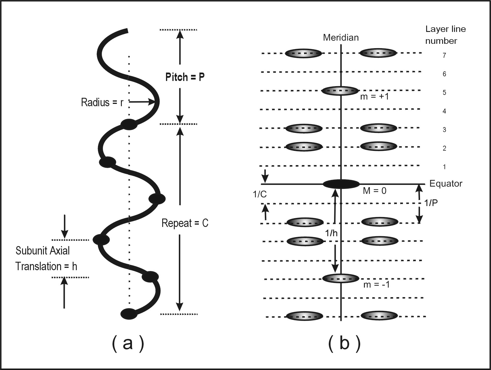 HELIX Small Angle Scattering Diamond Light Source