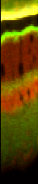 A slice of retina studied at Diamond. Different metals are highlighted in different colours.