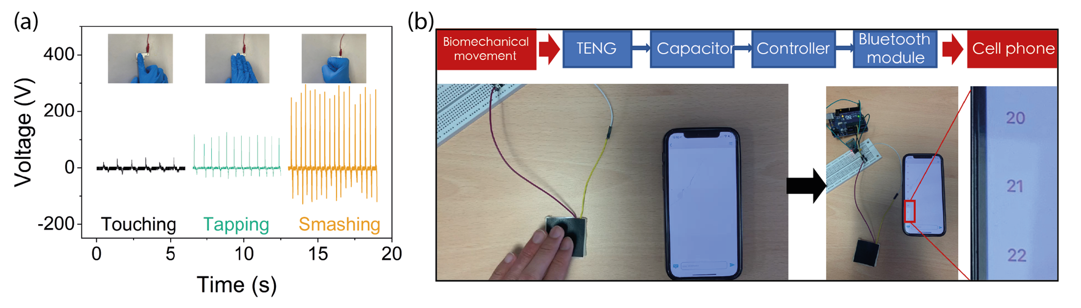 Fig. 2: (a) Demonstration of single-electrode mode for biomechanical energy harvesting by ZIF-72/PDMS TENG. (b) TENG-powered pedometer with Bluetooth transmission to a smart phone.