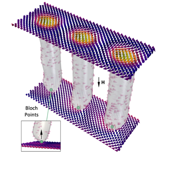 Three dimensional visualisation of a micromagnetic simulation of three magnetic skyrmion tubes, showing their extended 3D structures and associated Bloch point singularities.