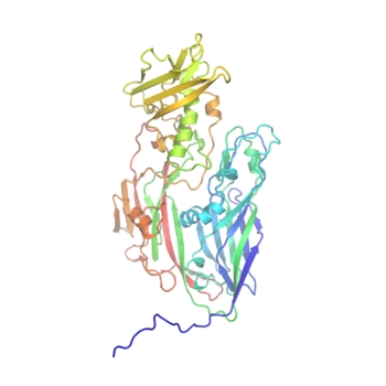 The structure of the protein D13 from Vaccinia virus is very similar to the capsid protein from a number of unrelated viruses. The structure is a signature that reveals a previously undetected evolutionary link between these viruses. Credit: Courtesy of Dr Mohammad Bahar and Dr Jonathan Grimes, Wellcome Trust Centre for Human Genetics 