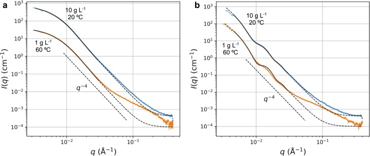 Comparative SAXS data (blue and orange dots) with fits indicated by solid lines in the fitting range and with dashed line outside of it: (a) LNPs fitted with a model for solid spheres, (b) LNCs fitted with a model for spherical shells. For both graphs, top curve represent a dispersion concentration of 10 g L−1 measured at 20 °C, whereas the lower curve stands for a concentrate of 1 g L−1 measured at 60 °C.