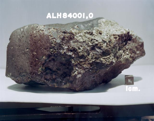 The Allan Hills 84001 meteorite courtesy of NASA/JSC/Stanford University.
