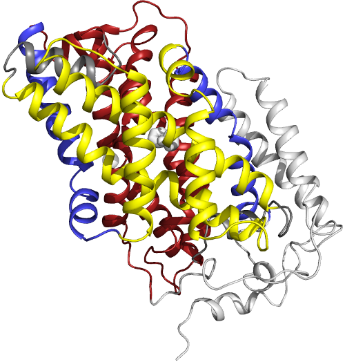 The inward-facing structure of the bacterial Mhp1 transporter protein