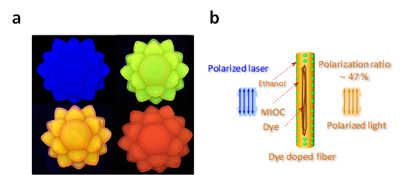 Figure 3. (a) Photographs of the MIOC glass doped with dyes under UV-light irradiation (@ 365 nm). (b) Schematic illustration for the emitted light from the MIOC glass fiber doped with dyes.