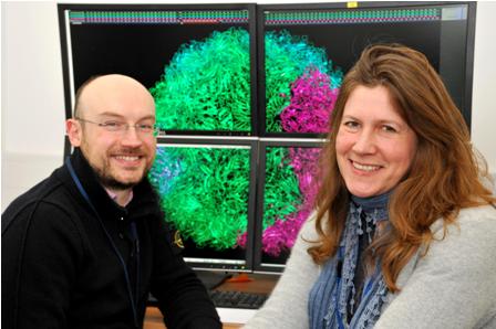 Luigi De Colibus and Liz Fry, Oxford scientists who are working on the potential drug for hand, foot and mouth disease, with the virus structure on the screen 