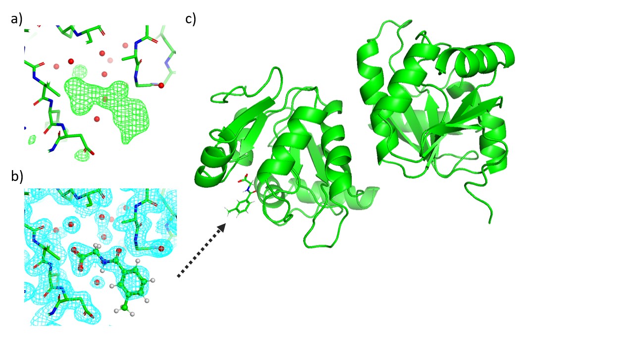 Room temperature ligand binding results using data from 8 crystals of SARS CoV2 macrodomain 1 (MAC1) collected at VMXi and merged together with xia2.multiplex. a) Evidence at the ligand binding site for the presence of the ligand (green mesh); b) Ligand included within the structure to show interactions with the protein; C) overall structure of the protein with the ligand binding site shown. 