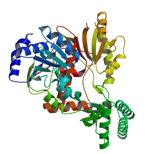 Part of the protein structure of Helicase XPD
