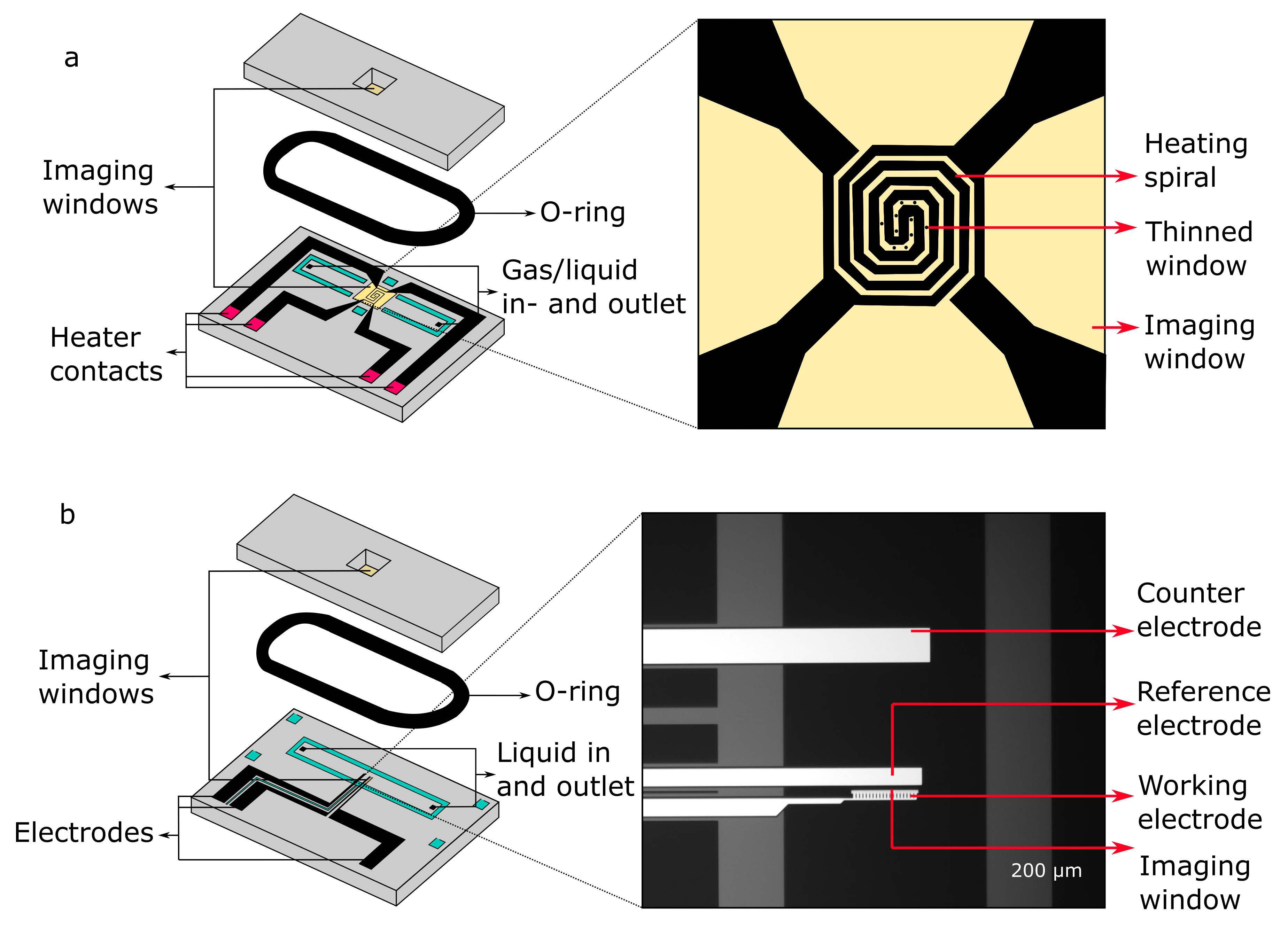 Schematic of example in situ chips. a) DENSsolutions heating chip that can be used for gas or liquid flow. b) DENSsolutions biasing chip that can be used with liquid.<br/>https://doi.org/10.1080/09603409.2023.2213579