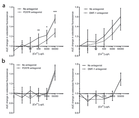 Figure 3: Inhibition of Co<sup>2+</sup> entry by P2X7R antagonist. (a) Mean (95%CI) change (relative to control) in area under curve for quenching of Calcein-AM by Co<sup>2+</sup> in response to P2X7R antagonist (A740003) in bone cells; (b) Mean change in AUC in response to DMT-1 antagonist (NSC306711) in osteoblasts and osteoclasts. Analysis is antagonist versus no antagonist at each metal exposure by unpaired t-test; *P<0.05, **P<0.01. Reproduced from Shah et al<sup>3</sup>.