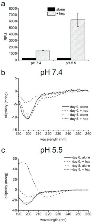 Figure 1: Analysis of PLB(1-23) aggregation. (a) ThT fluorescence (y axis shows relative fluorescence units) for 2 mg/ml PLB(1-23) incubated at 37 °C with shaking for five days in the absence and presence of 2mg/ml heparin at pH 7.4 or pH 5.5, mean and standard error of the mean are shown for n=3. SRCD spectra of 2 mg/ml PLB(1-23) at pH 7.4 (b) and pH 5.5 (c) freshly prepared (day 0) and pre-incubated at 37 °C for five days, in the presence and absence of 2 mg/ml heparin as shown. Spectra are an average of 4 scans following dilution to 0.5 mg/ ml in buffer and are shown following subtraction of buffer and heparin control spectra.