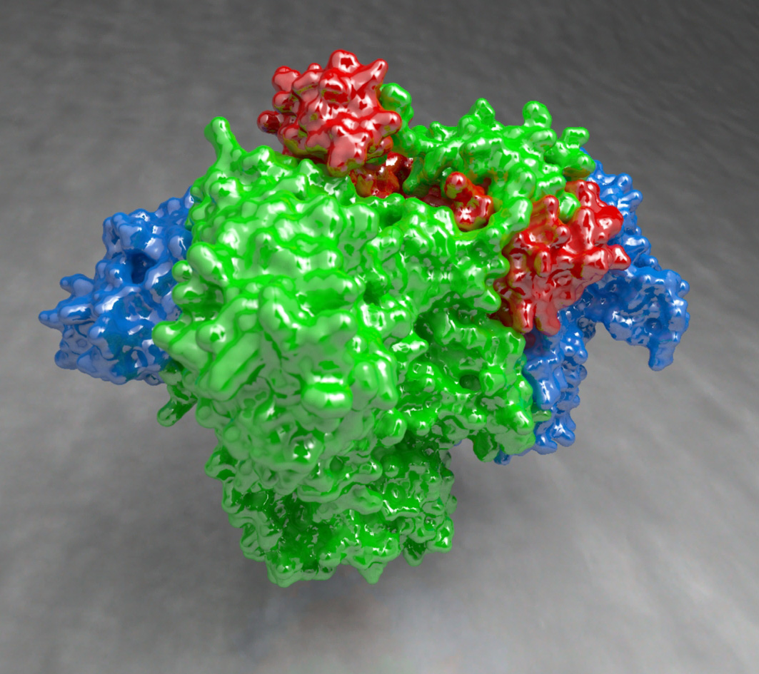 Discovery of molecular machine that drives spread of flu virus