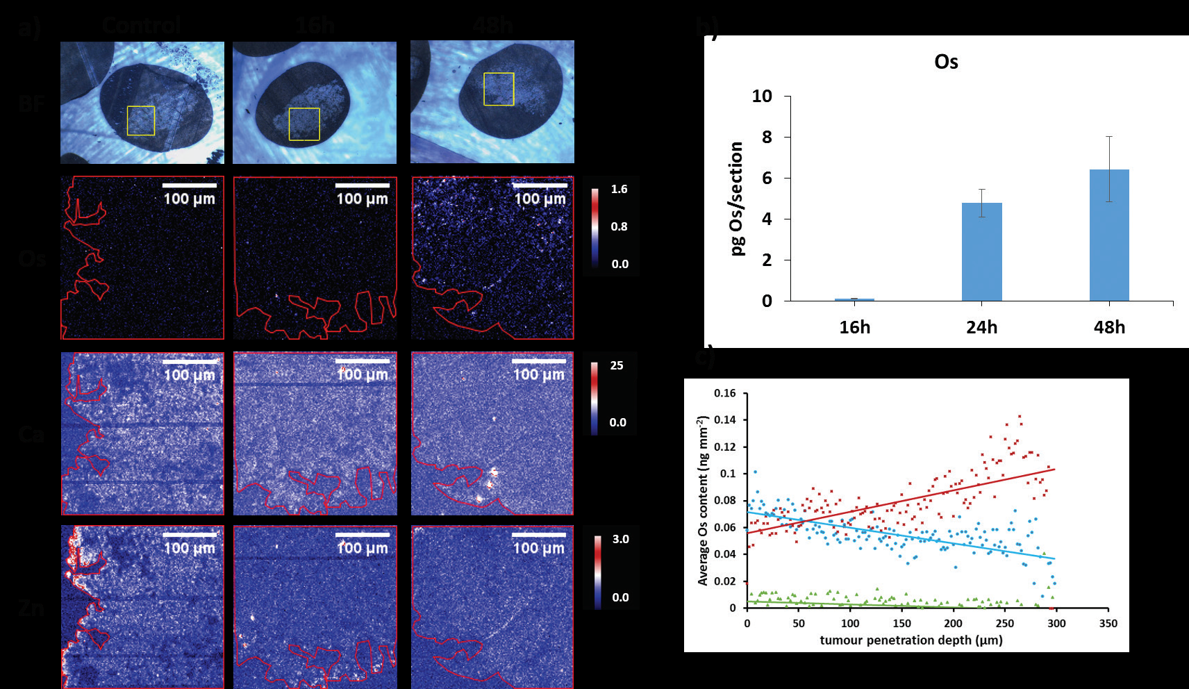 Figure 2: a) Bright field images and XRF elemental maps of Os, Ca and Zn in human ovarian carcinoma spheroid sections treated with organo-osmium anticancer drug FY26 for 0, 16 or 48 h (2x2 μm2
<br/>step size, 1 s dwell time; Scale bar 100 μm; Calibration bar ng mm-2). Yellow squares indicate areas of the spheroid studied using XRF. Red areas indicate limits of the spheroids. b) Total Os content (pg/
<br/>section), and c) Average Os content (ng mm-2) as a function of distance from spheroid surface, after treatment for 16 h (green), 24 h (blue) or 48 h (red) with the drug.