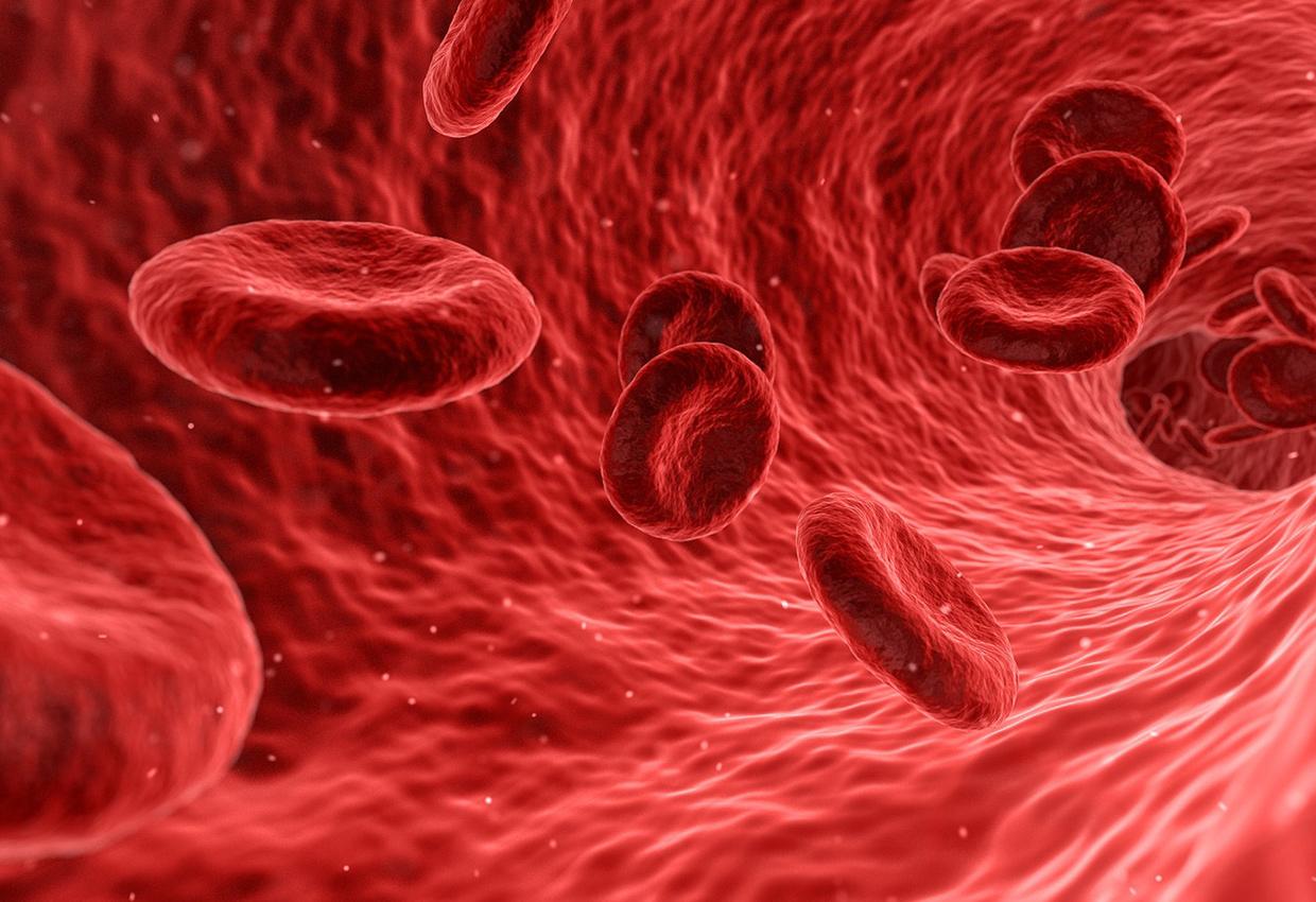 Pic2-Blood