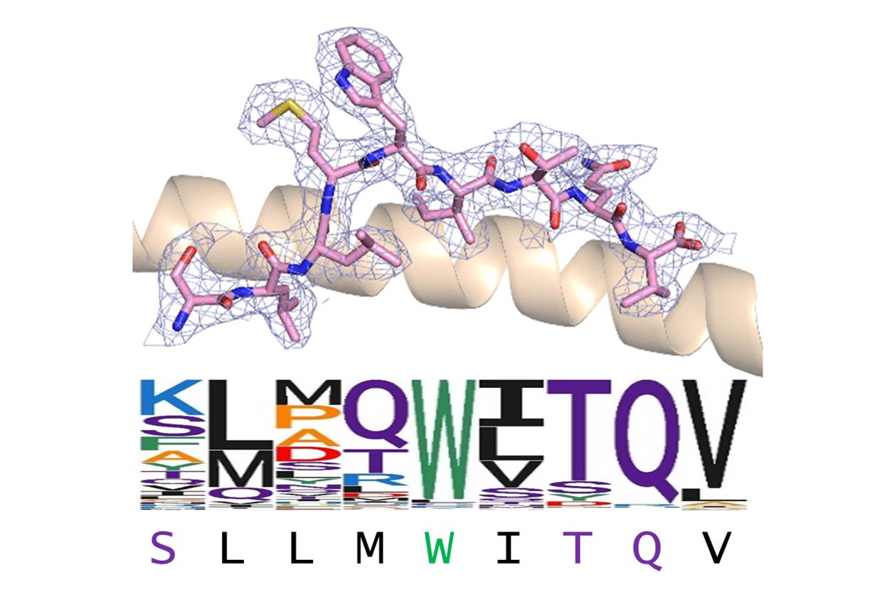 structure2
