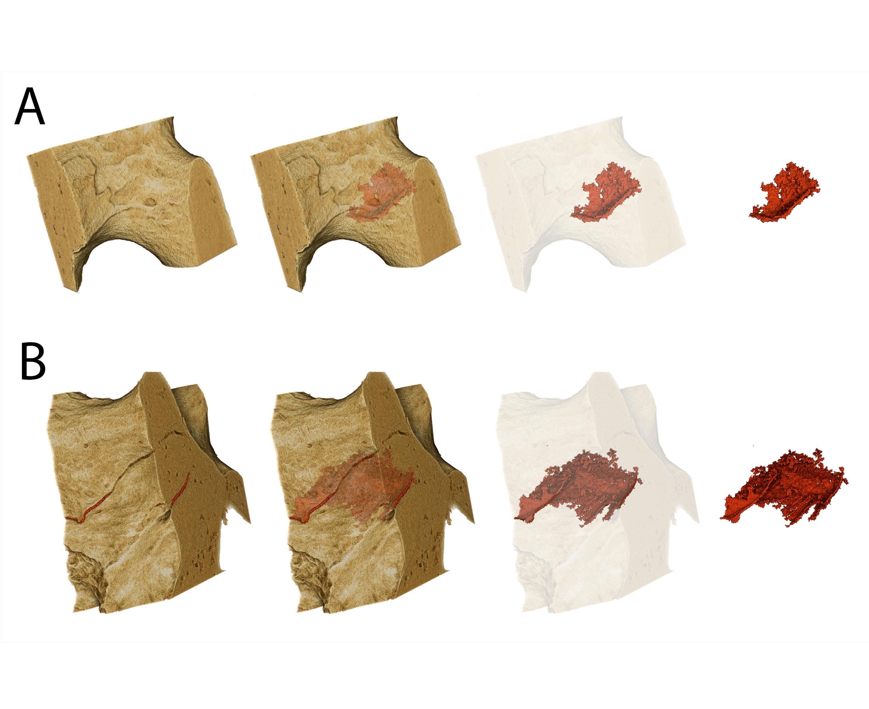 pic2-range-of-samples