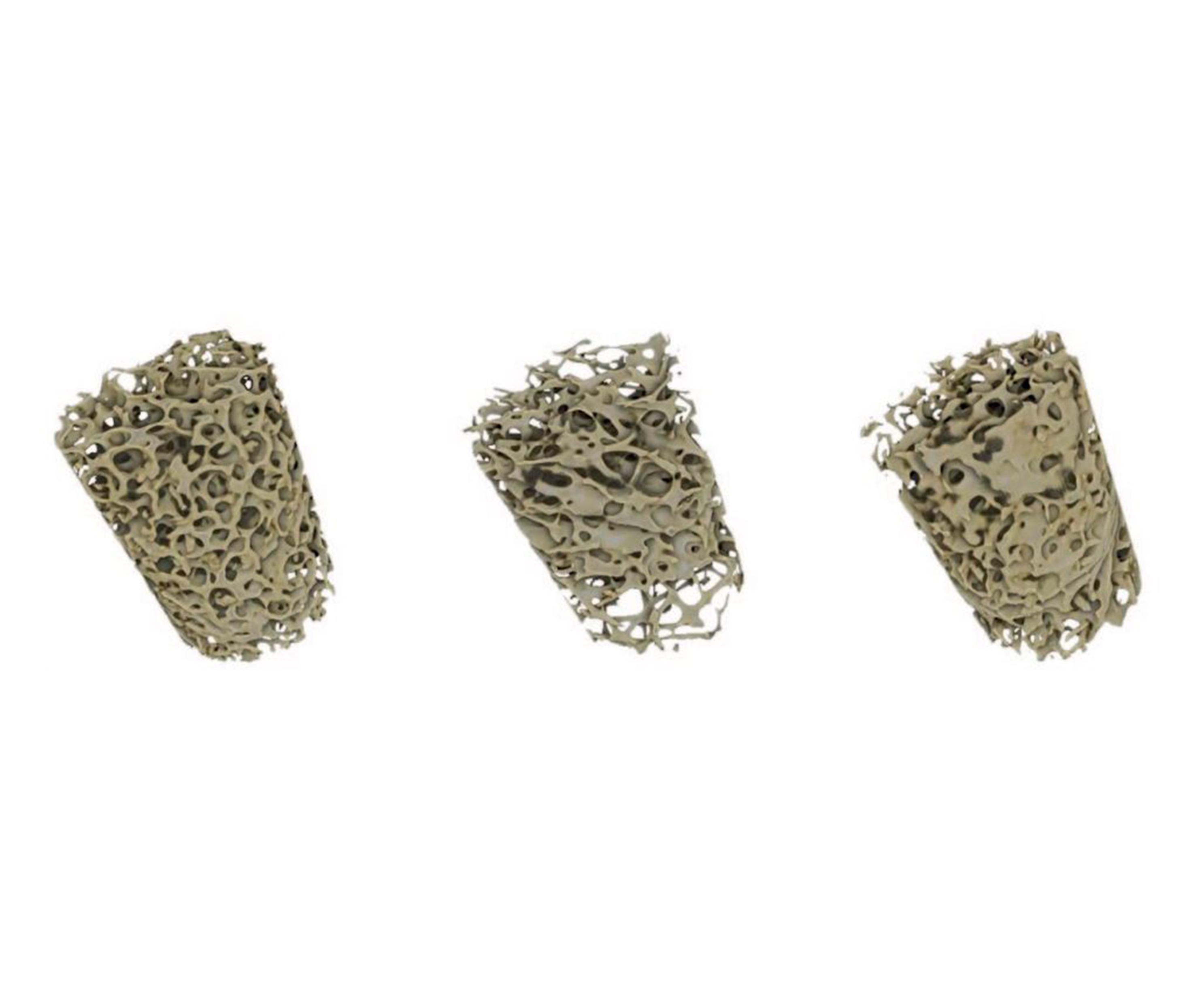 pic3-boneimaging