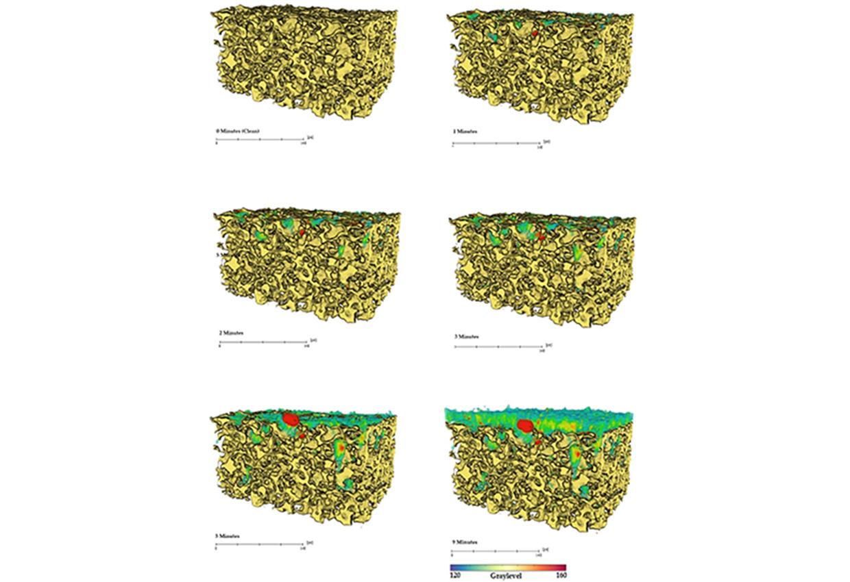 pic2---sampledata