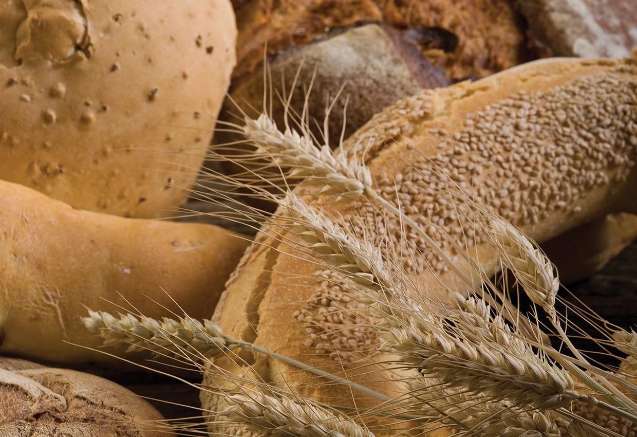bread