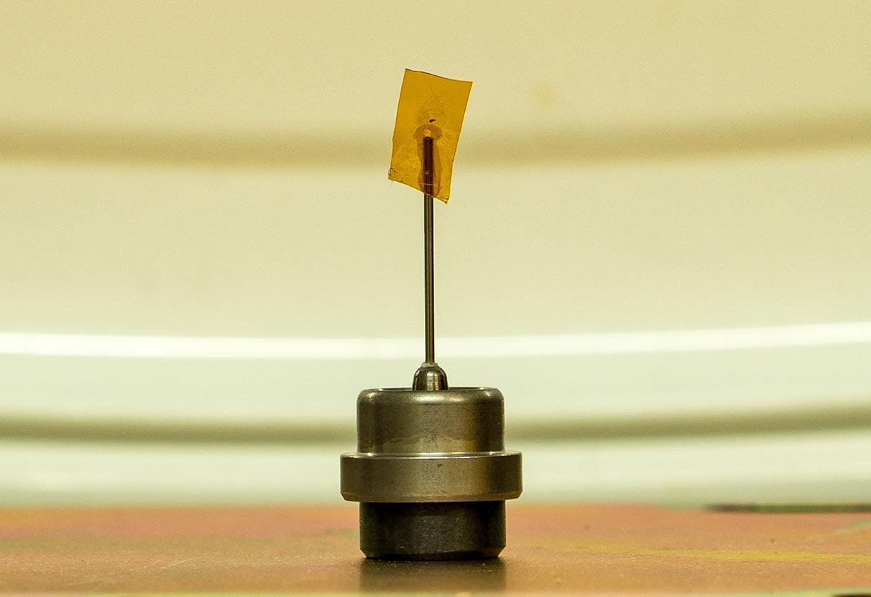 Pic1-Sample-mounted
