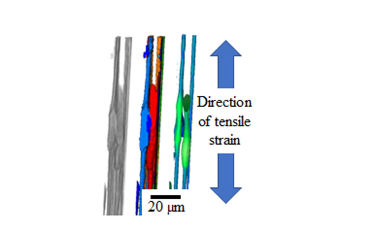 pic2-direction-tensile-strain