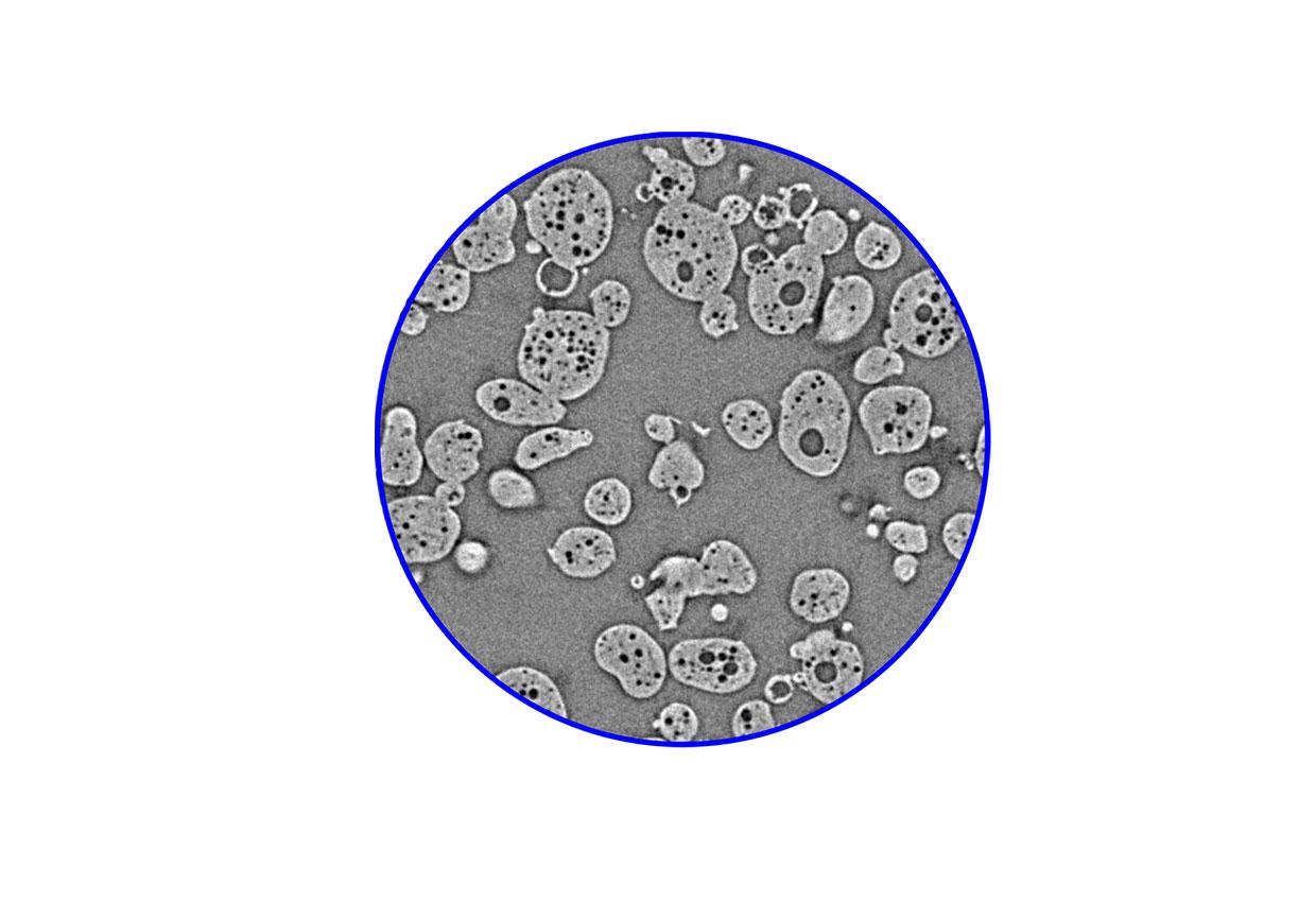 Phase-contrast_milk-powder
