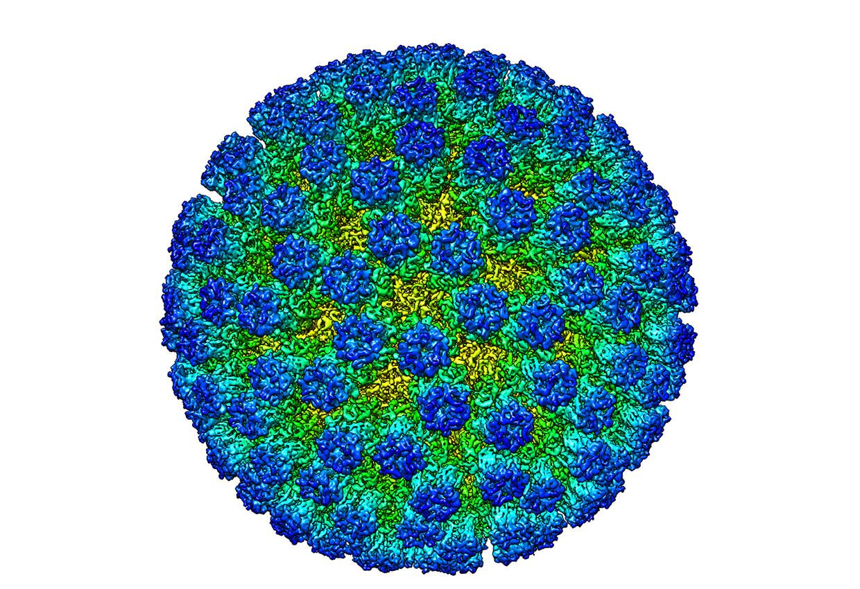 Virus-landing