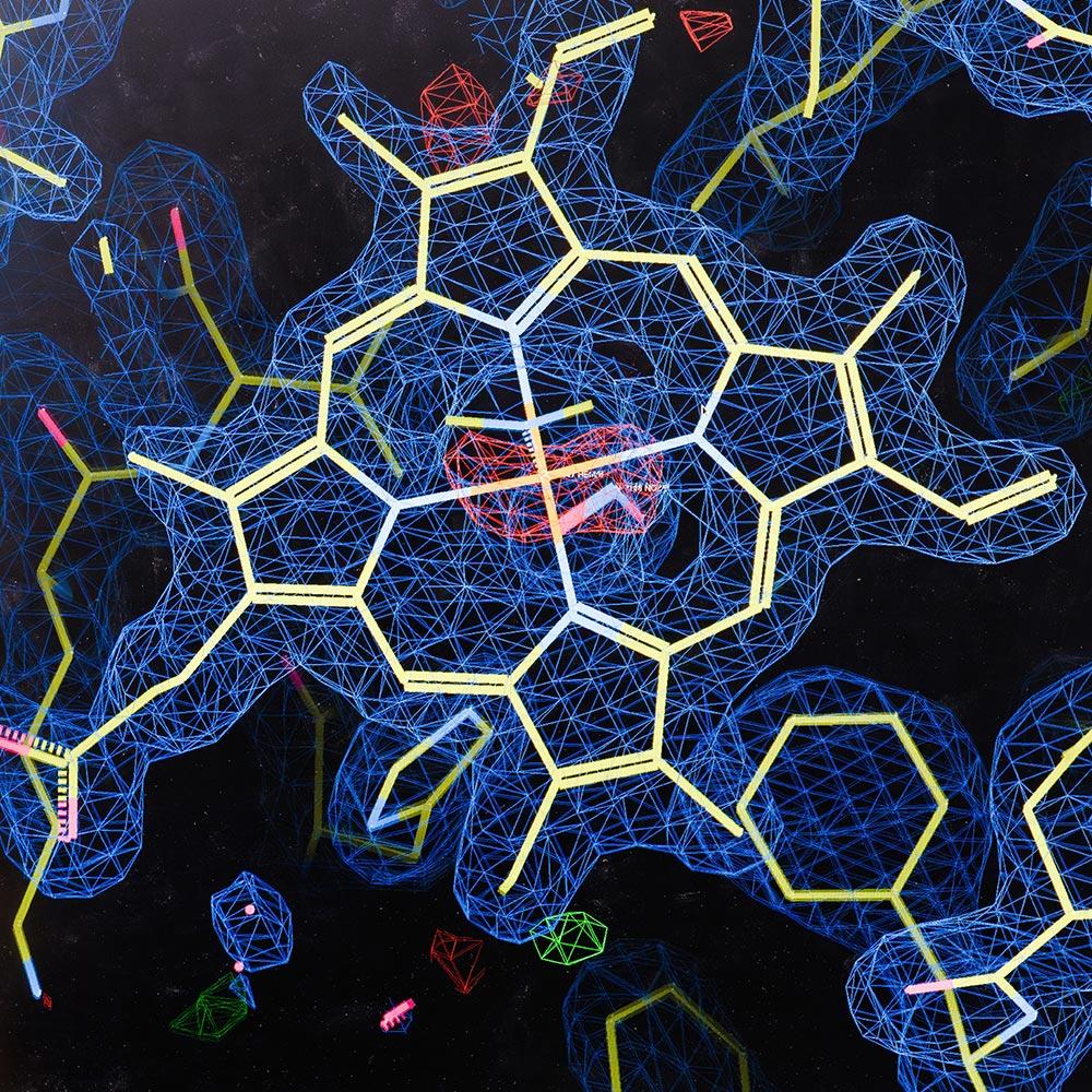 Structural-biolog-overview