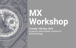 MX Workshop