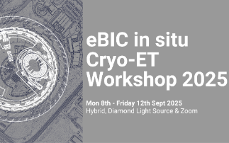 eBIC in situ Cryo-ET Workshop 2025