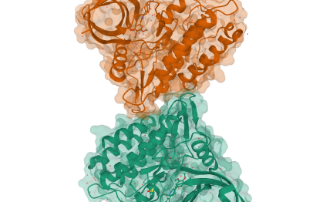 Live Family Webinar - Biological Machines: A few million molecules at a time