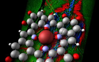 Live Family Webinar - Dinosaur Fossils and Particle Accelerators