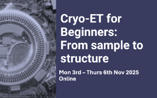 Cryo-ET for Beginners: From sample to structure
