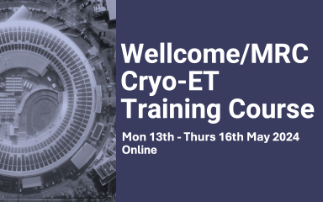 Wellcome/MRC Cryo-ET Training Course 2024 