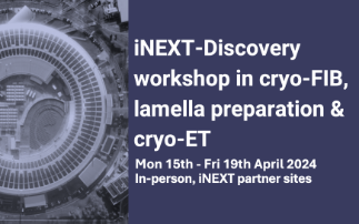 iNEXT-Discovery workshop in cryo-FIB, lamella preparation & cryo-ET