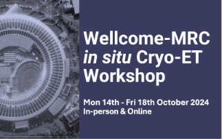 Wellcome-MRC in situ Cryo-ET Workshop 2024