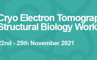 Cryo Electron Tomography in Structural Biology