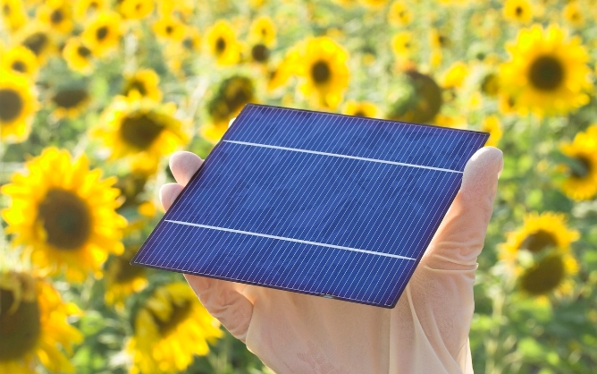 Transforming global energy solutions with smarter solar technology 