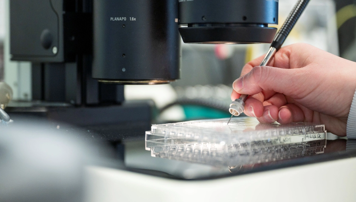 Pump prime funding strengthens collaboration across Harwell
