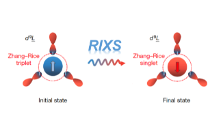RIXS experiments at Diamond have led to the discovery of an exciton in a quantum entangled state