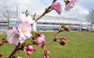 Spring – a time for new beginnings