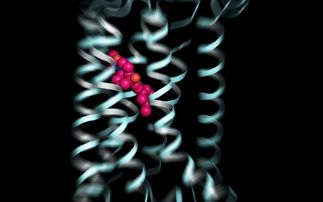 Towards new treatments for neurological diseases & disabilities