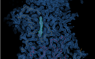 Scientists use Diamond to develop potential new drug treatment to tackle viruses