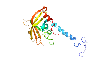 Scientists identify key chemical that could prevent tooth decay